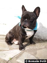 090520071740b 090520071740b