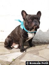 090520071740c 090520071740c