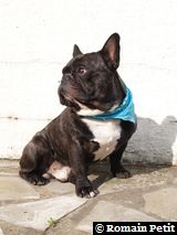 090520071740d 090520071740d