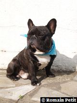 090520071740e 090520071740e