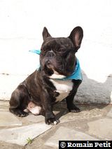 090520071740f 090520071740f