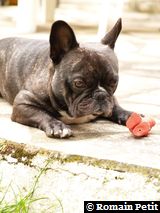 070620071456b 070620071456b