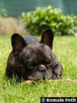 090620071337d 090620071337d