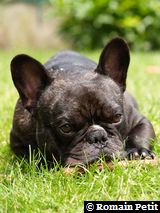 090620071337e 090620071337e