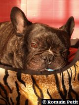 181220071133e 181220071133e