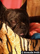 181220071146b 181220071146b