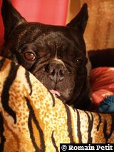 181220071146c 181220071146c