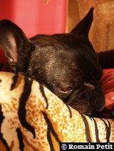 181220071146d 181220071146d