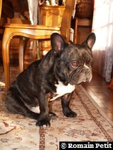 181220071428a 181220071428a