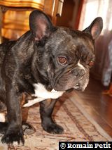 181220071428c 181220071428c