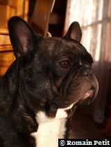 181220071428d 181220071428d