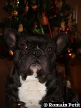 191220071016a 191220071016a