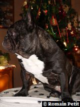 191220071016b 191220071016b