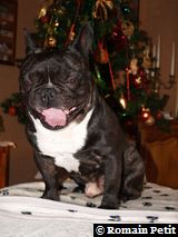 191220071017a 191220071017a