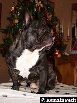 191220071017b 191220071017b