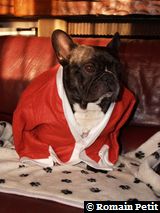 191220071021a 191220071021a