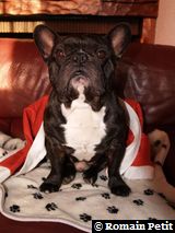 191220071024a 191220071024a