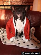 191220071024c 191220071024c