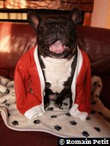 191220071024d 191220071024d