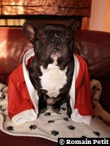 191220071024f 191220071024f