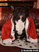 191220071024g 191220071024g