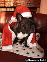 191220071025a 191220071025a