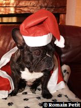 191220071026a 191220071026a