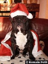 191220071026b 191220071026b