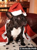 191220071026c 191220071026c