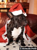 191220071026d 191220071026d