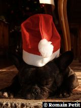 191220071142a 191220071142a