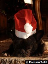 191220071142b 191220071142b