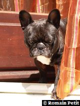 090620081217a 090620081217a