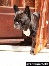 090620081217b 090620081217b