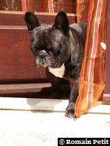 090620081217c 090620081217c