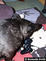 010120091134 010120091134