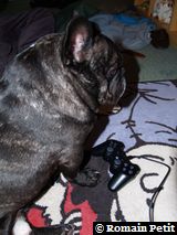 010120091135 010120091135