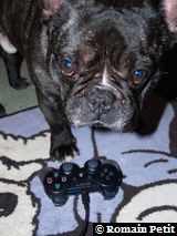 010120091136a 010120091136a