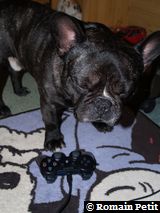 010120091136b 010120091136b