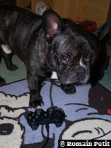 010120091136c 010120091136c