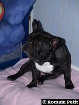 020120091119b 020120091119b