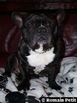 020120091521e 020120091521e