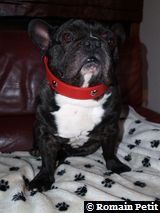 020120091524a 020120091524a