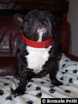 020120091524b 020120091524b