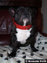 020120091524c 020120091524c