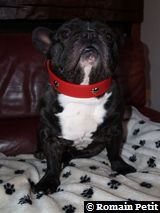 020120091524d 020120091524d