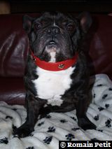 020120091524e 020120091524e