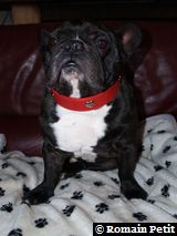 020120091524f 020120091524f