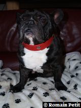 020120091524g 020120091524g