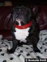 020120091524h 020120091524h